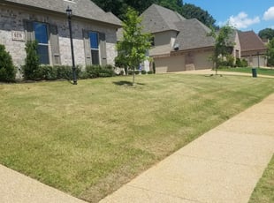 Los Angeles Ca Lawn Care Lawn Mowing From 19 Lawnstarter