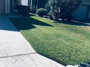 Louisburg Nc Lawn Care Service Lawn Mowing From 19 Rated Best 2020