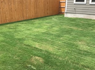 Louisville Ky Lawn Care Service Lawn Mowing From 19 Rated Best 2020