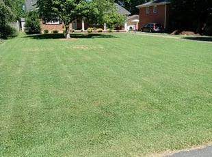 Louisville Ky Lawn Care Service Lawn Mowing From 19 Rated Best 2020