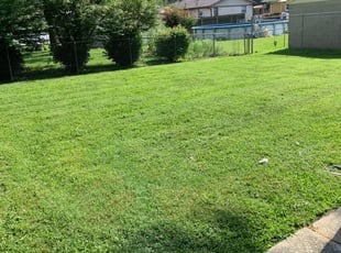 Louisville Ky Lawn Care Service Lawn Mowing From 19 Rated Best 2020