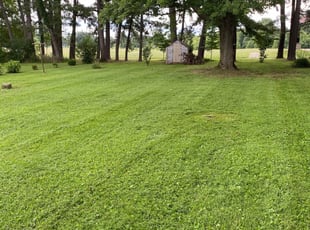 Louisville Ky Lawn Care Service Lawn Mowing From 19 Rated Best 2020