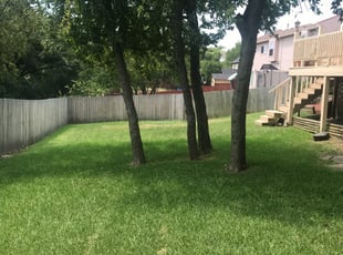 Loveland Oh Lawn Care Service Lawn Mowing From 19 Lawnstarter