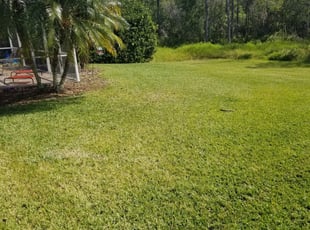 Lutz Fl Lawn Care Service Lawn Mowing From 19 Lawnstarter
