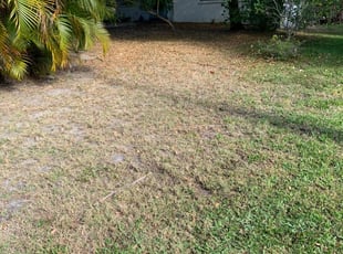 Lynnwood Wa Lawn Care Service Lawn Mowing From 19 Rated Best 2020