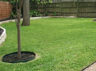 Lynwood, CA Lawn Care Service | Lawn Mowing from $19 ...
