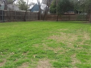 Madison Al Lawn Care Service Lawn Mowing From 19 Rated Best 2020