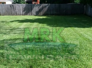 Madison Ct Lawn Care Service Lawn Mowing From 19 Rated Best 2020