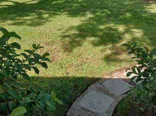 Madison Ct Lawn Care Service Lawn Mowing From 19 Rated Best 2020