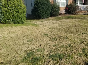 Madison Heights Mi Lawn Care Service Lawn Mowing From 19 Rated Best 2020