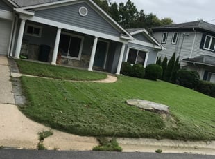 Madison, MS Lawn Care Service | Lawn Mowing from $19 | Rated Best 2020