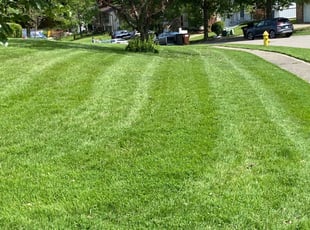1 Madison Tn Lawn Care Service Lawn Mowing From 19 Best 2020