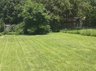 Madison Wi Lawn Care Service Lawn Mowing From 19 Lawnstarter