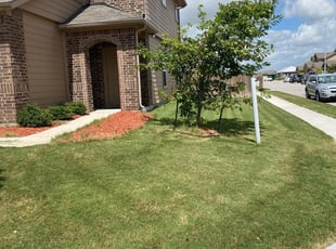 Manor Tx Lawn Care Service Lawn Mowing From 19 Lawnstarter