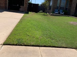 1 Mansfield Tx Lawn Care Service Lawn Mowing From 19 Best 2020