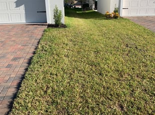 Manvel Tx Lawn Care Service Lawn Mowing From 19 Rated Best 2020