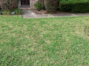 Manvel Tx Lawn Care Service Lawn Mowing From 19 Rated Best 2020