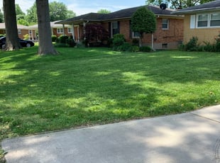 Manvel Tx Lawn Care Service Lawn Mowing From 19 Rated Best 2020