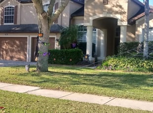 Prosper Lawn Tulsa Ok 74110 Homeadvisor