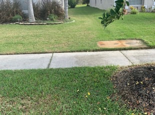 1 Matthews Nc Lawn Care Service Lawn Mowing From 19 Best 2020