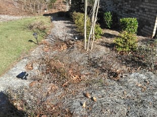 1 Matthews Nc Lawn Care Service Lawn Mowing From 19 Best 2020