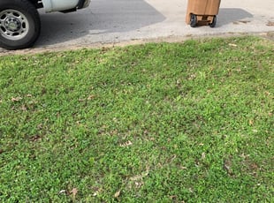 1 Matthews Nc Lawn Care Service Lawn Mowing From 19 Best 2020
