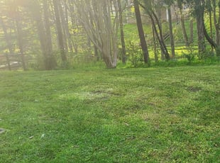 1 Matthews Nc Lawn Care Service Lawn Mowing From 19 Best 2020