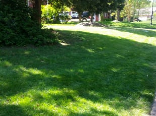 1 Matthews Nc Lawn Care Service Lawn Mowing From 19 Best 2020