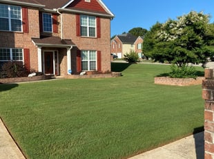 1 Mcdonough Ga Lawn Care Service Lawn Mowing From 19 Best 2020