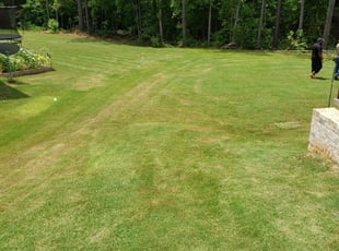 1 Mcdonough Ga Lawn Care Service Lawn Mowing From 19 Best 2020