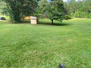 1 Mcdonough Ga Lawn Care Service Lawn Mowing From 19 Best 2020