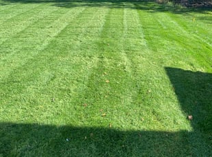 Mckeesport Pa Lawn Care Service Lawn Mowing From 19 Rated Best 2020