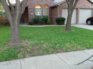 #1 McKinney, TX Lawn Care Service | Lawn Mowing from $19 ...