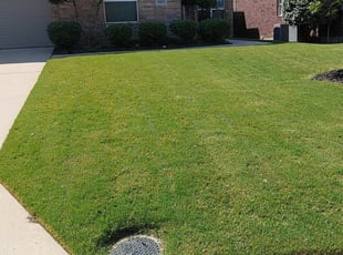 1 Mckinney Tx Lawn Care Service Lawn Mowing From 19 Best 2020