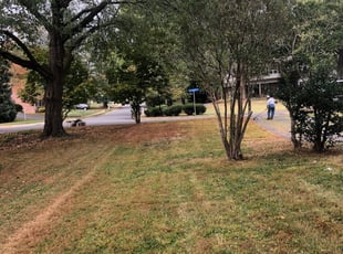 Mclean Va Lawn Care Service Lawn Mowing From 19 Lawnstarter