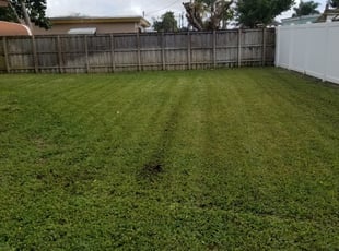 Tuxedo Yard Care Top Quality Aeration Service Wasatch Front S 1