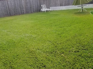 Mechanicsville Va Landscaping From 29 1 Landscapers Best Of 2020