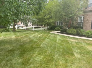 1 Mechanicsville Va Lawn Care Service Lawn Mowing From 19 Best 2020