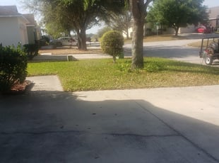 Media Pa Lawn Care Service Lawn Mowing From 19 Rated Best 2020