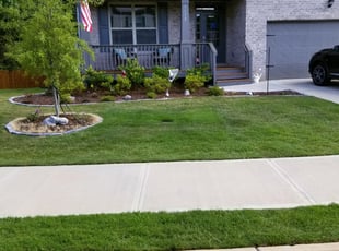 1 Memphis Tn Lawn Care Service Lawn Mowing From 19 Best 2020