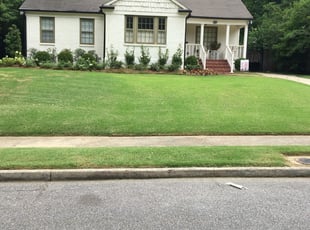 1 Memphis Tn Lawn Care Service Lawn Mowing From 19 Best 2020
