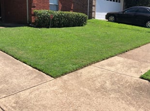 1 Memphis Tn Lawn Care Service Lawn Mowing From 19 Best 2020