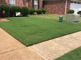 1 Memphis Tn Lawn Care Service Lawn Mowing From 19 Best 2020