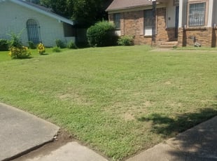 1 Memphis Tn Lawn Care Service Lawn Mowing From 19 Best 2020