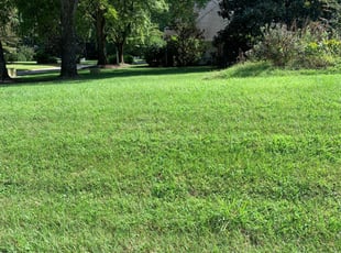 1 Memphis Tn Lawn Care Service Lawn Mowing From 19 Best 2020