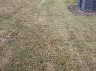 1 Menomonee Falls Wi Lawn Care Service Lawn Mowing From 19 Best 2020