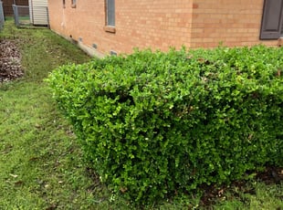 Mentor Oh Lawn Care Service Lawn Mowing From 19 Rated Best 2020