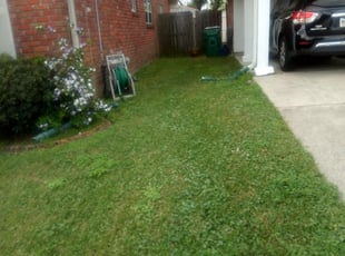 1 Metairie La Lawn Care Service Lawn Mowing From 19 Best 2020