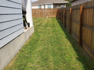 1 Metairie La Lawn Care Service Lawn Mowing From 19 Best 2020