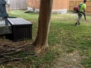 1 Metairie La Lawn Care Service Lawn Mowing From 19 Best 2020